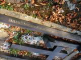 image of grave number 171832